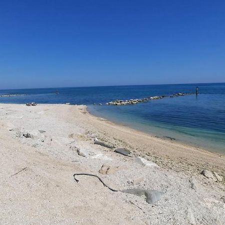 Casamarina Apartment Marina di Montemarciano Luaran gambar